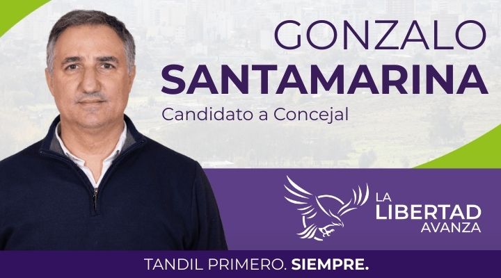 Gonzalo santamarina