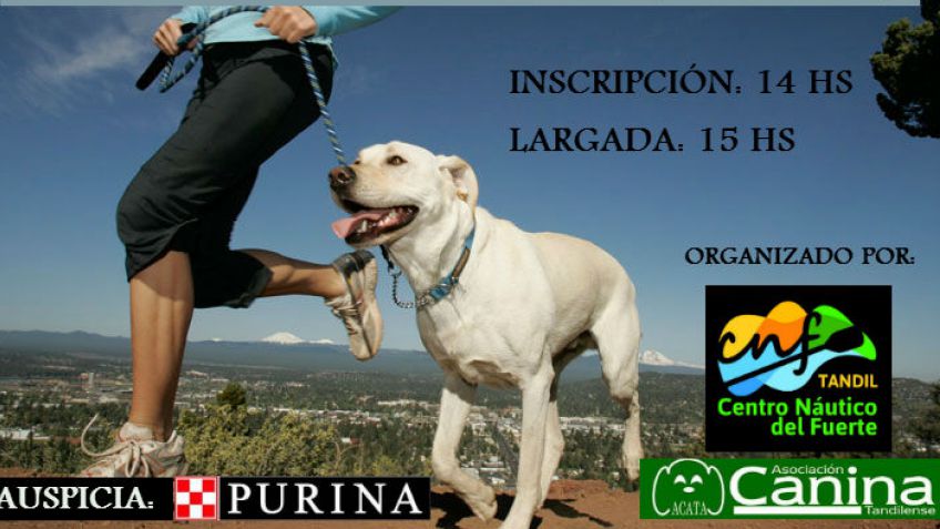 "El perro y el hombre"