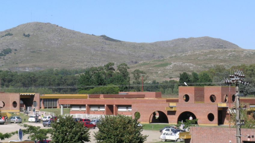 Observando la Universidad (Parte II)
