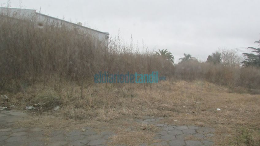Preocupa terreno baldío en estado de abandono