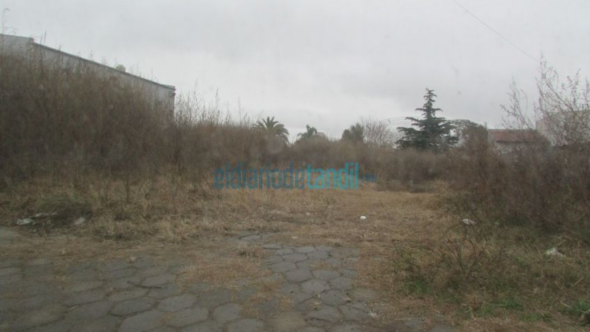 Preocupa terreno baldío en estado de abandono
