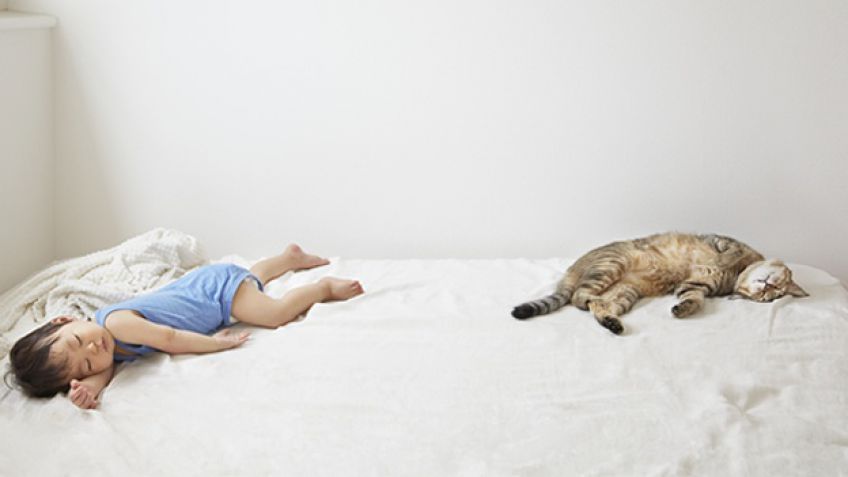 Las ventajas de tener una mascota en casa