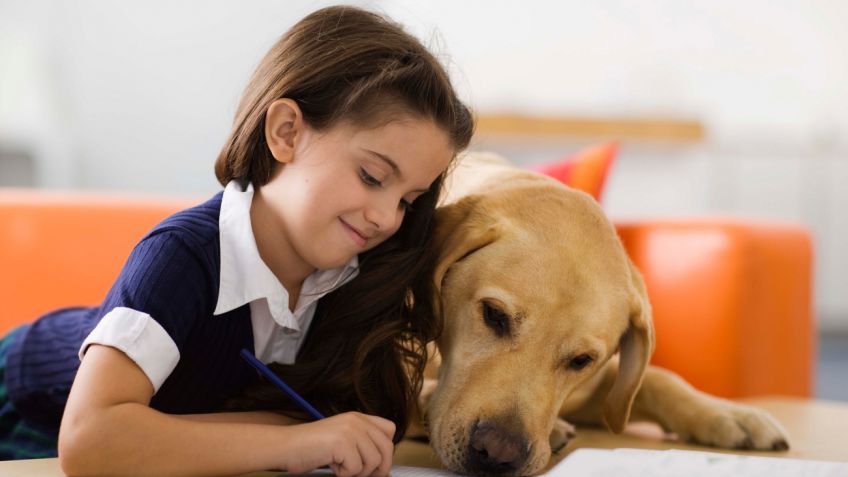 Las ventajas de tener una mascota en casa