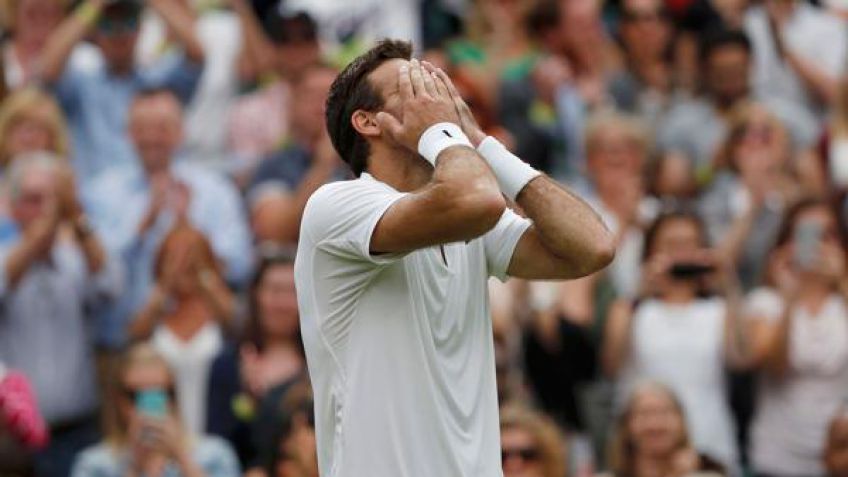 Del Potro: "Me siento vivo"