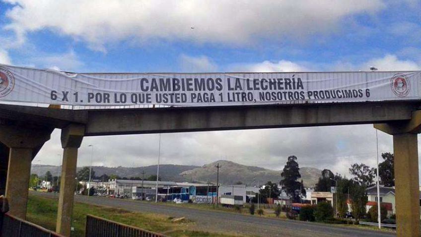 El Gobierno aprobó compensaciones económicas a tamberos
