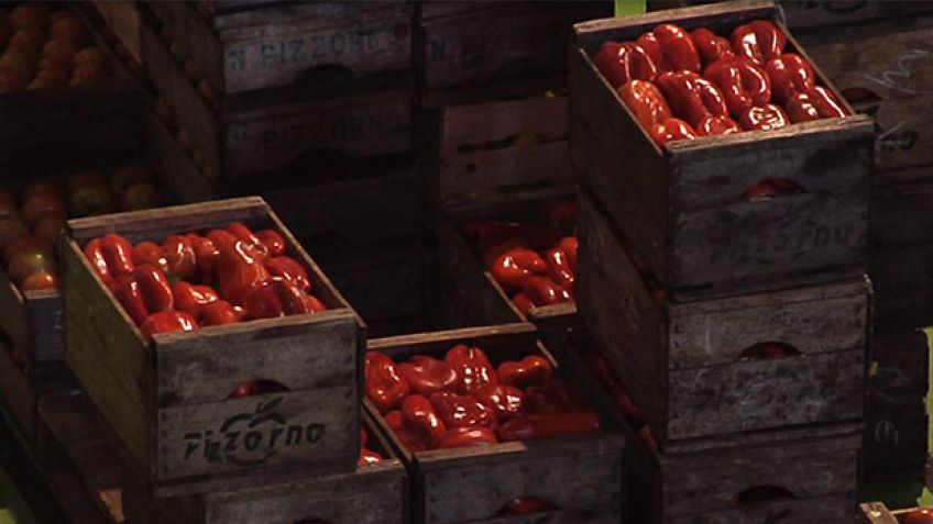 El morrón es suntuario para los tandilenses: 140 pesos el kilo