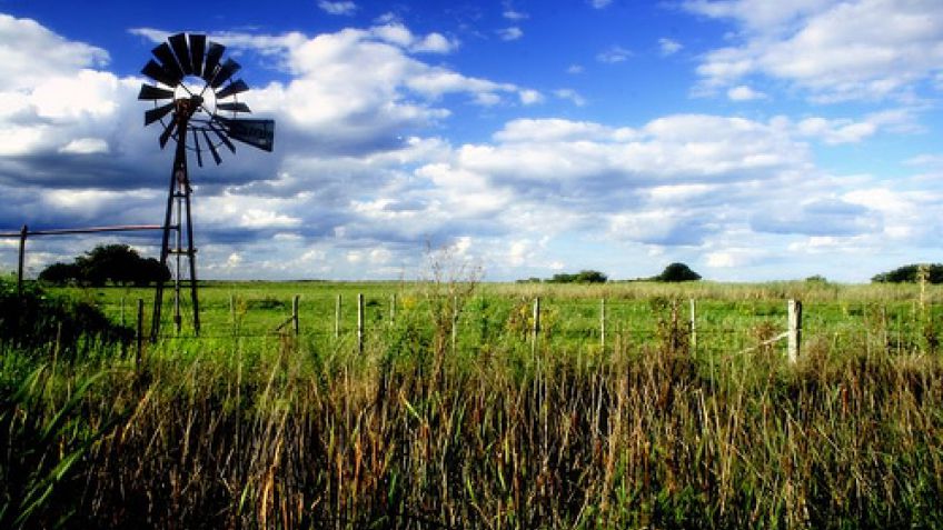 Mirá las pautas para fertilizar después de los excesos hídricos