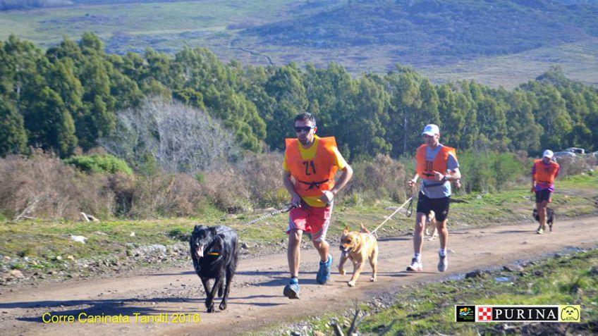 Se realizó la 2da fecha de la correcaninata "El Perro y el hombre"