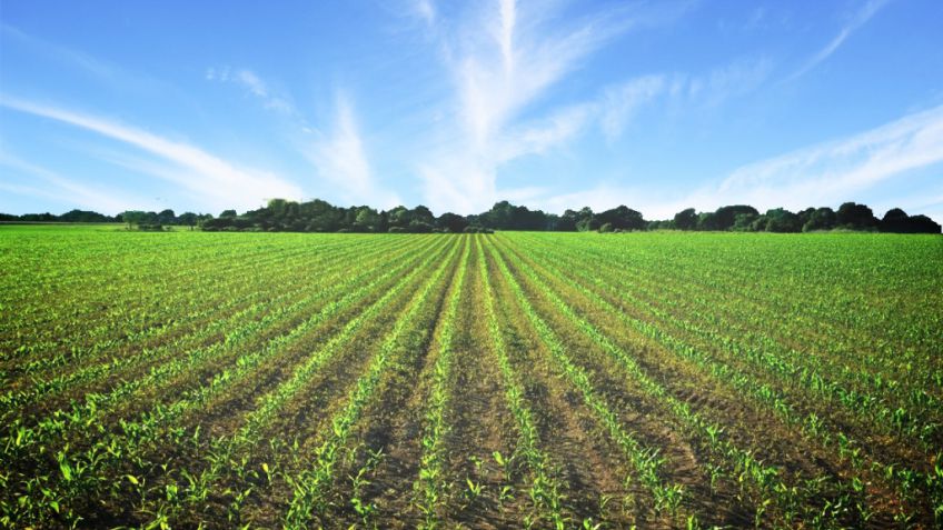 El Municipio realizará este martes una jornada de agro y ambiente