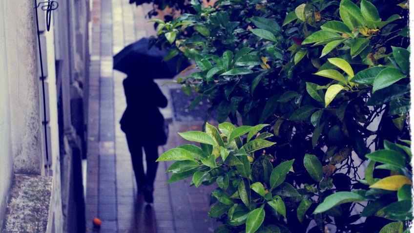 Más lluvia para el martes