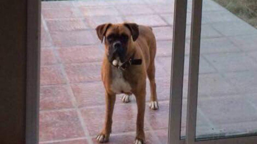 Buscan a Emma