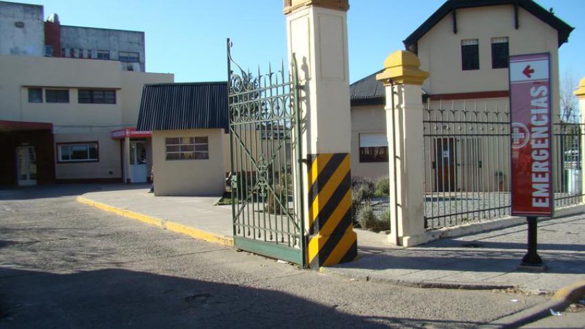 ¡Cuidado! Chanchos sueltos