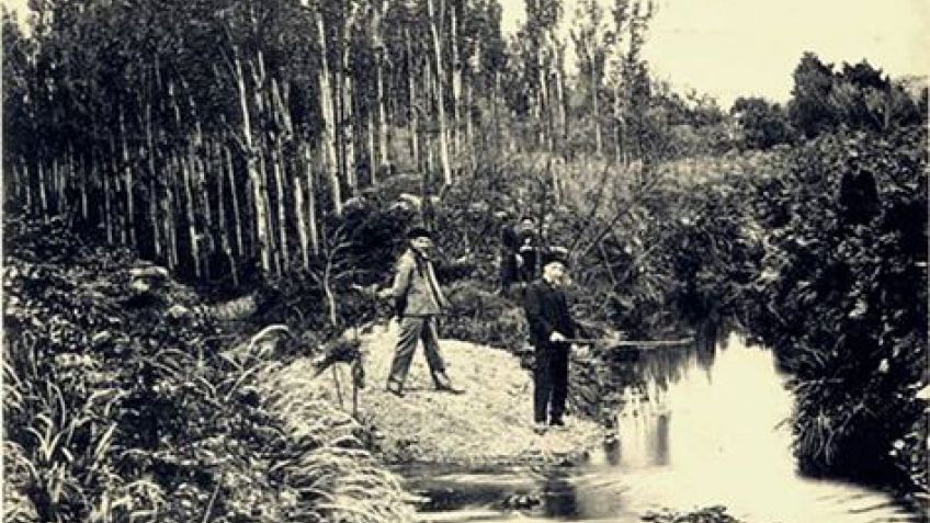 Memorias del arroyo Gardey 