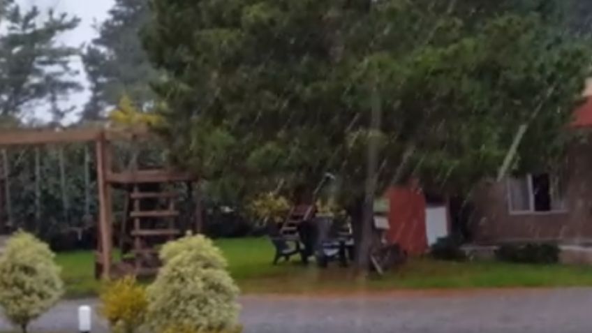 Y después de tanto frío, llegaron los copos de nieve...