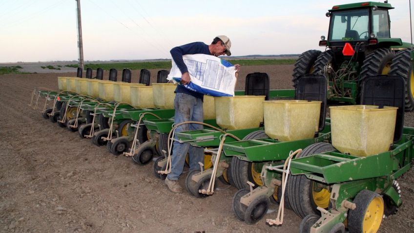 El INASE multará a productores que no informen el origen de las semillas