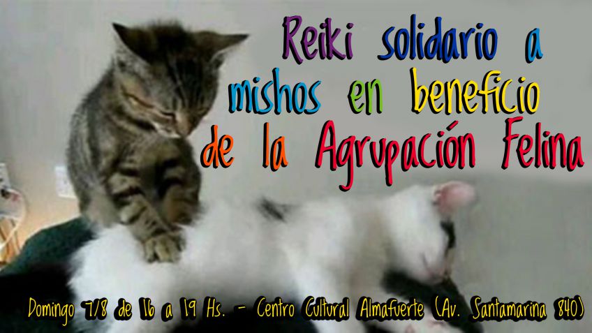 Reiki solidario a "mishos" en beneficio de la Agrupación Felina