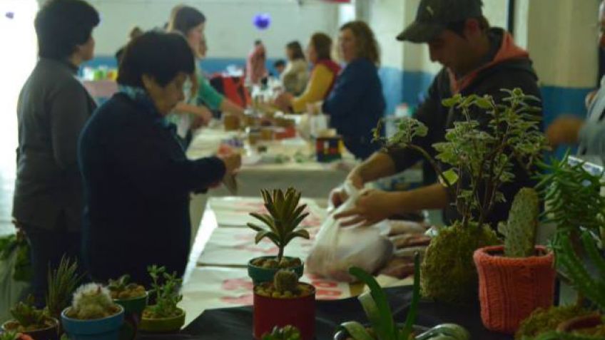Feria Verde y Camión de pastas, panes y lácteos para todos 