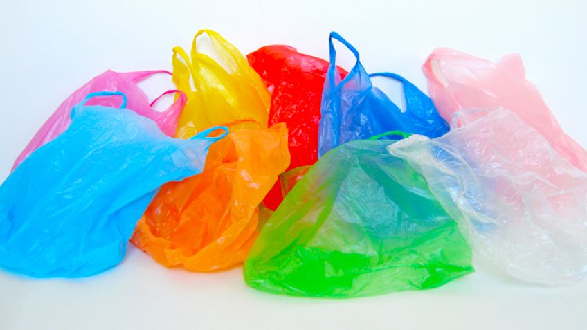 Avanza el proyecto que prohíbe el uso de bolsas plásticas en comercios y mercados