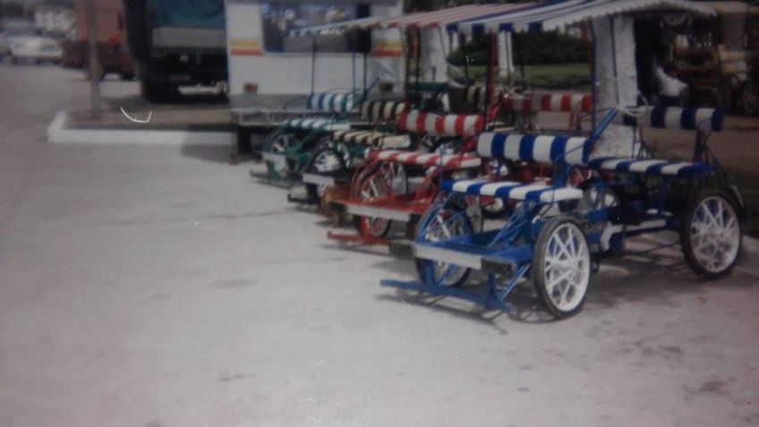 Carritos