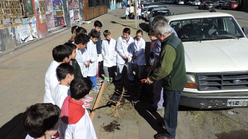 "Plantemos árboles para el planeta tierra, plantemos árboles para Tandil"