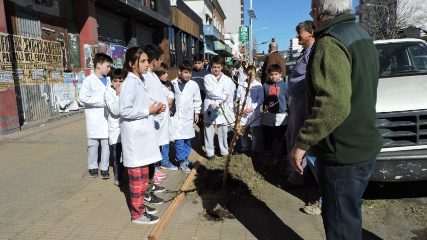 "Plantemos árboles para el planeta tierra, plantemos árboles para Tandil"