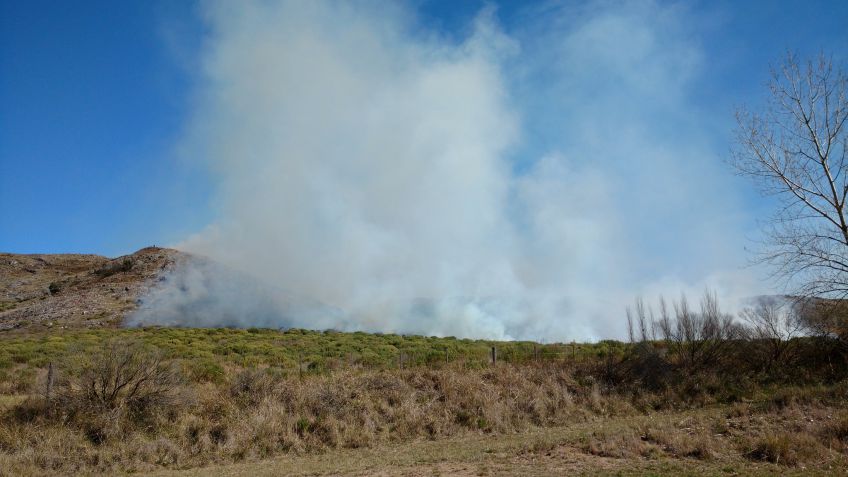 Incendio en Don Bosco: tras varias horas, los bomberos controlaron la situación