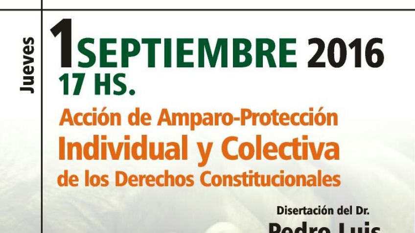 "La Acción de Amparo. Protección individual y colectiva de los Derechos Constitucionales"