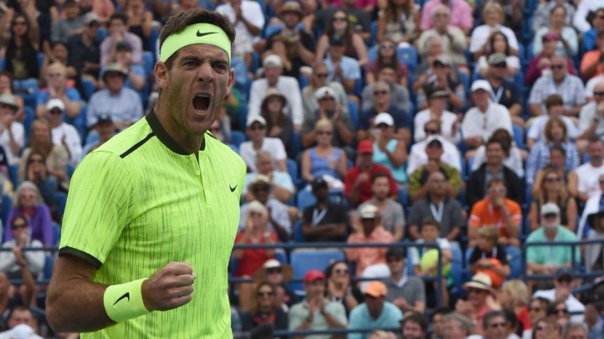 Del Potro sumó a Ferrer a su lista de víctimas