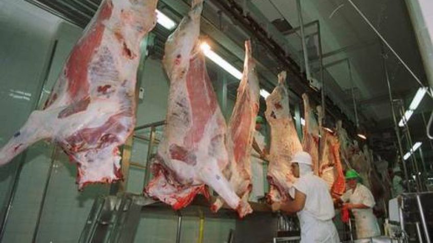 Equinos: Una carne sin consumo interno, pero con divisas millonarias