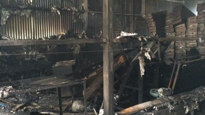 Salvaje incendio acabó con una empresa de hongos