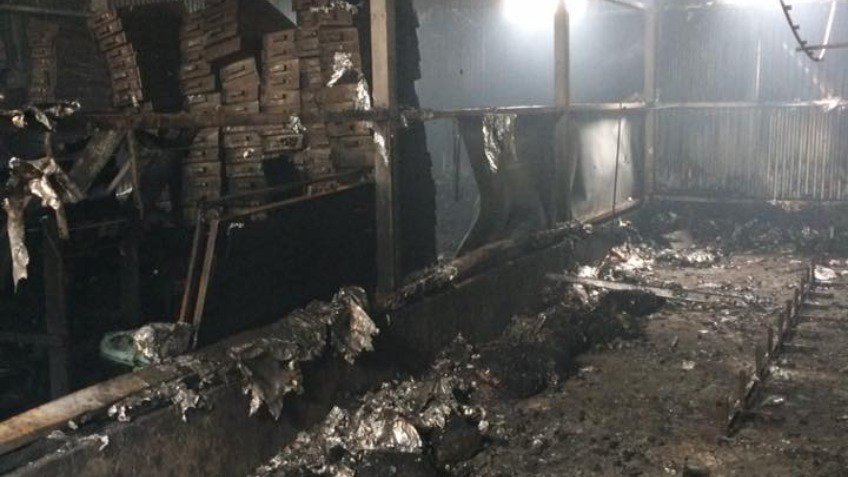 Salvaje incendio acabó con una empresa de hongos