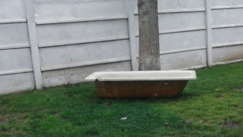 Lo que el viento se llevó... y trajo