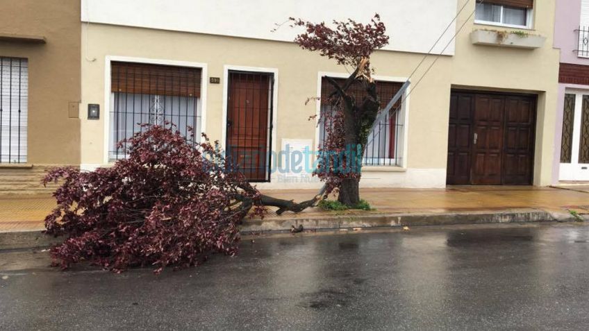Más consecuencias del temporal