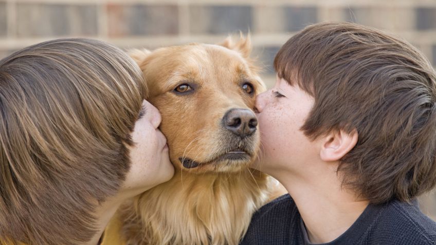 Adopción de Mascotas