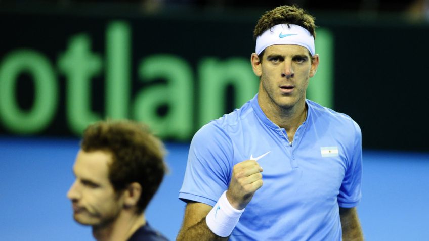 Del Potro: "Tenía un solo tiro y lo quería aprovechar con el mejor"