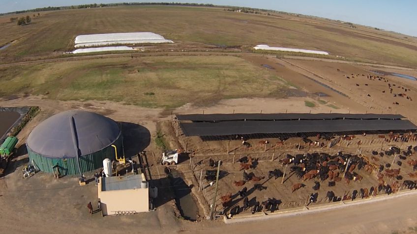 Primer feedlot que vende energía eléctrica