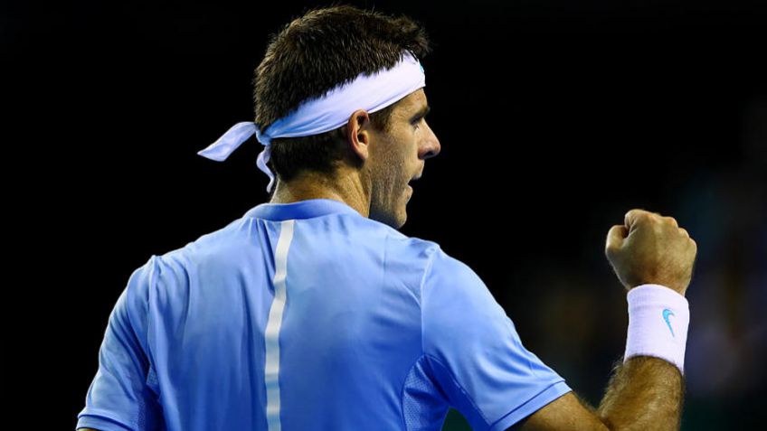 Del Potro, recién llegado a Argentina: "Son momentos para disfrutar"