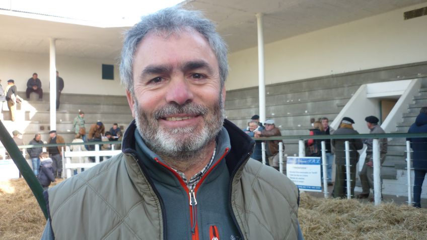 Extraordinario Remate de Cabaña Los Belchas