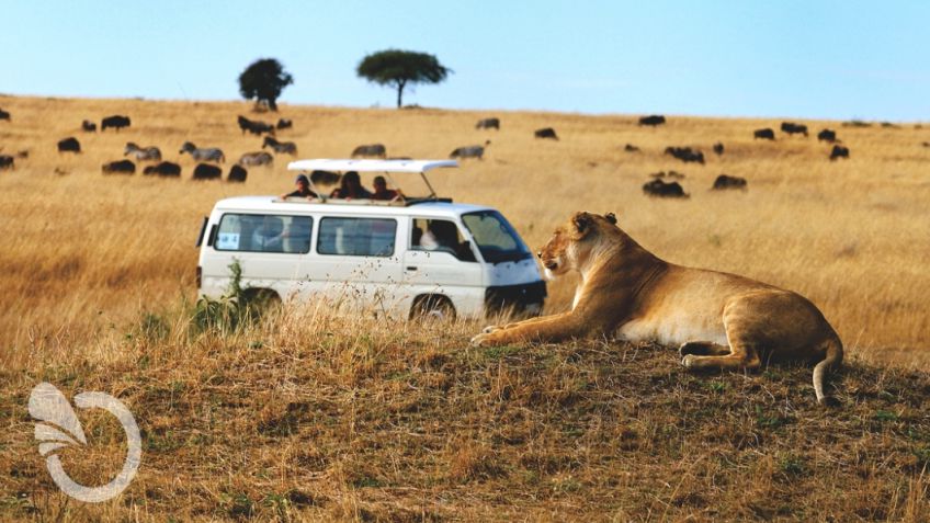 Sudáfrica, inmensa naturaleza
