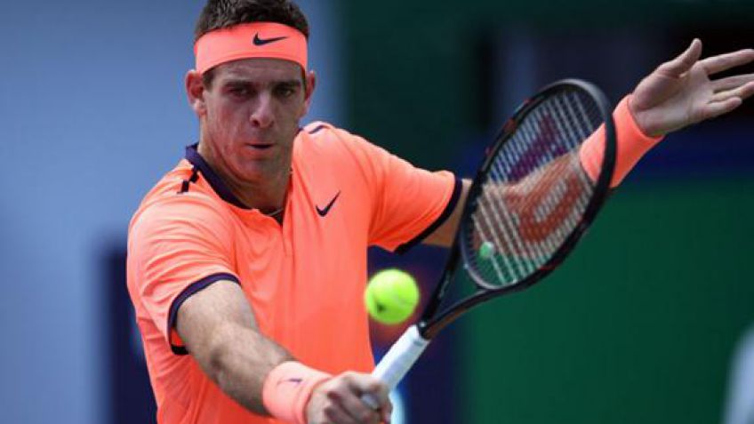 Del Potro: "Estamos pensando en la Davis"