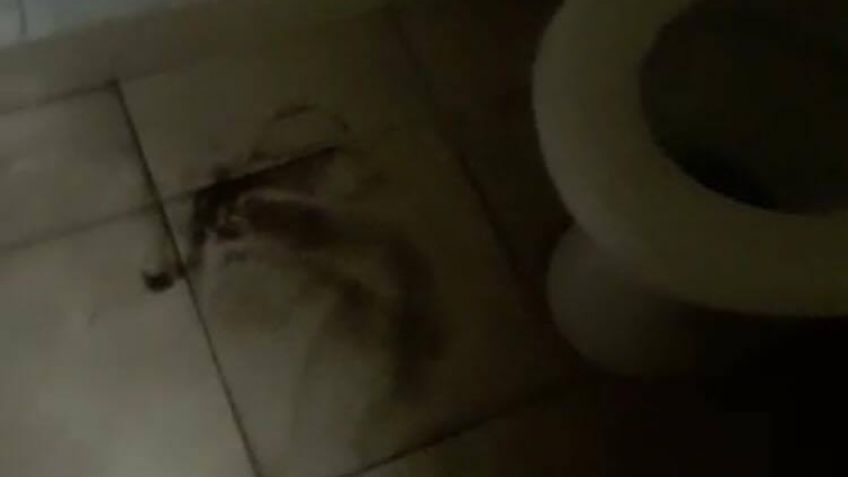 El pésimo estado del juzgado de faltas, con una rata incluída