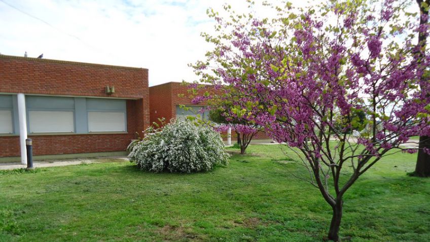 Se habilitó la inscripción en la Facultad de Agronomía para 2017