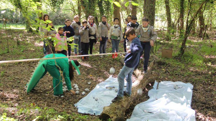 Encuentro de niños y niñas scout en Sans Souci