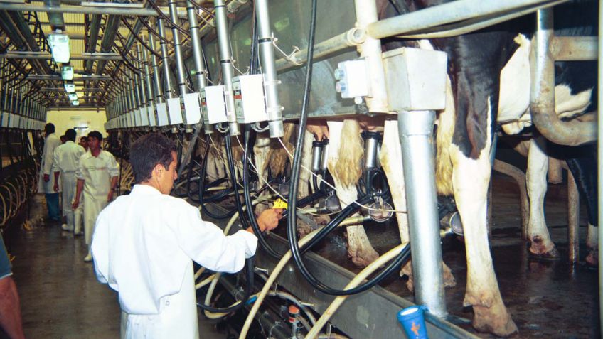 El agronegocio lácteo ¿debe achicarse o crecer?