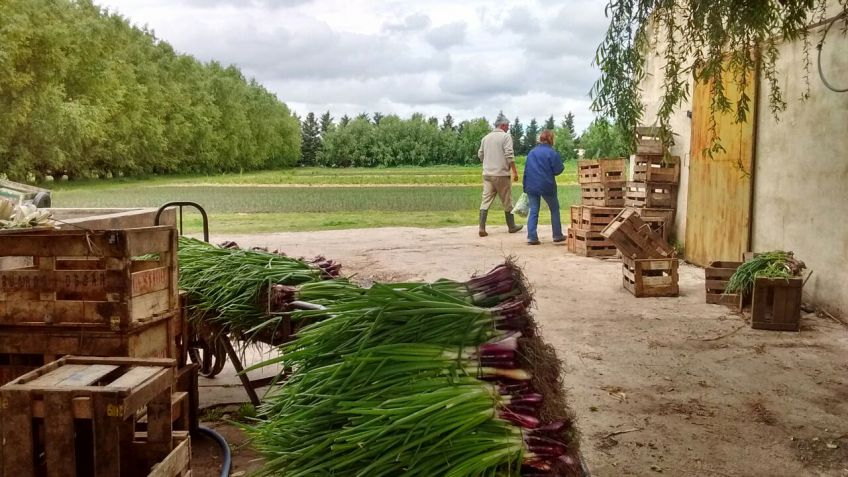 Continúa el trabajo de la Mesa de Agricultura Familiar de Tandil