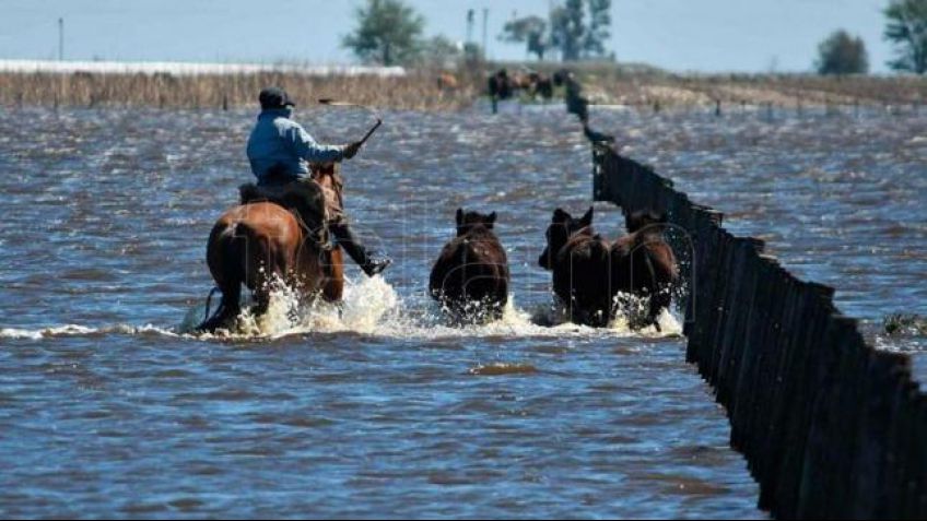 Vidal declaró zona de desastre agropecuario a los partidos afectados por las inundaciones