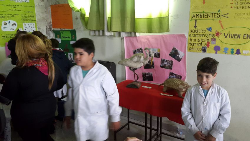 Con sus propias palabras: "La feria de ciencias en la Escuela 11"