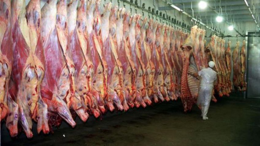 Frigoríficos piden ayuda financiera para mejorar la producción de carne