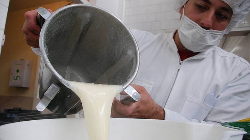 Lactosuero: una apuesta con potencial para las pymes queseras