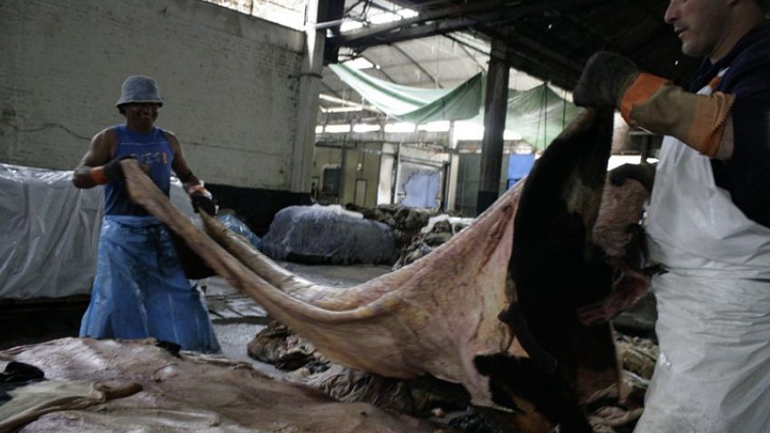 El precio del cuero no levanta cabeza